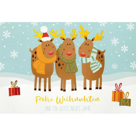 CARTE VOEUX NOEL BSB