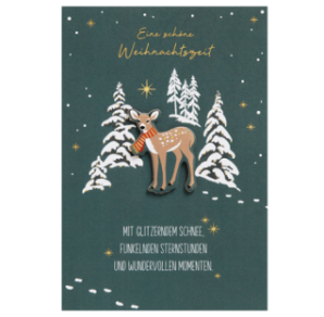 CARTE VOEUX NOEL BSB