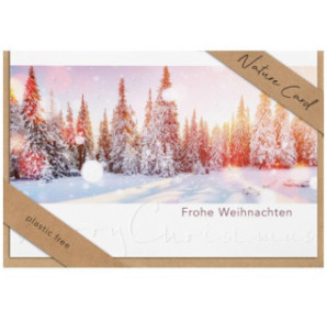 CARTE VOEUX NOEL BSB NATURE CARD
