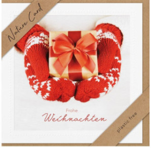 CARTE VOEUX NOEL BSB NATURE CARD