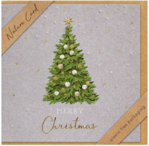 CARTE VOEUX NOEL BSB NATURE CARD