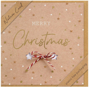 CARTE VOEUX NOEL BSB NATURE CARD