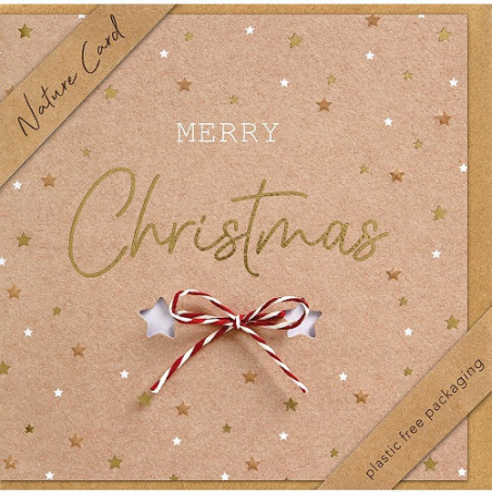 CARTE VOEUX NOEL BSB NATURE CARD