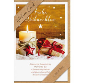 CARTE VOEUX NOEL BSB NATURE CARD