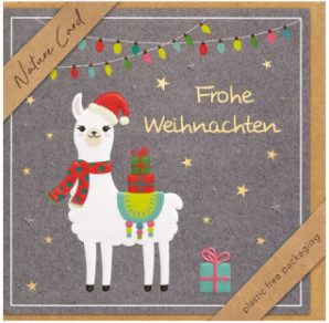 CARTE VOEUX NOEL BSB NATURE CARD