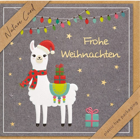 CARTE VOEUX NOEL BSB NATURE CARD