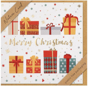 CARTE VOEUX NOEL BSB NATURE CARD