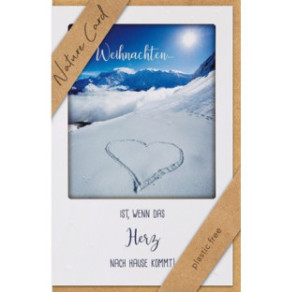 CARTE VOEUX NOEL BSB NATURE CARD