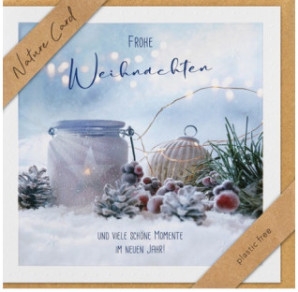 CARTE VOEUX NOEL BSB NATURE CARD