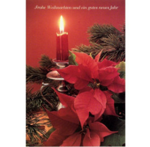 CARTE VOEUX NOEL BSB