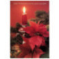 CARTE VOEUX NOEL BSB
