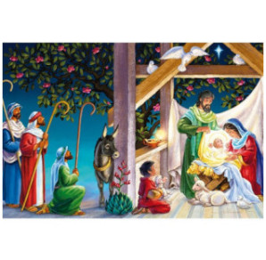 CARTE VOEUX NOEL BSB