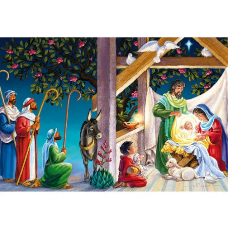 CARTE VOEUX NOEL BSB