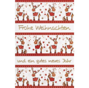 CARTE VOEUX NOEL BSB