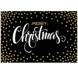 CARTE VOEUX NOEL BSB
