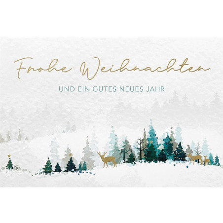 CARTE VOEUX NOEL BSB
