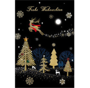 CARTE VOEUX NOEL BSB
