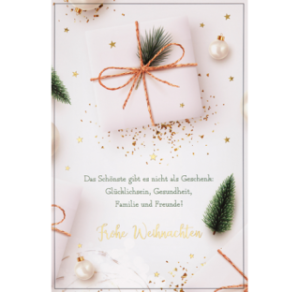CARTE VOEUX NOEL BSB