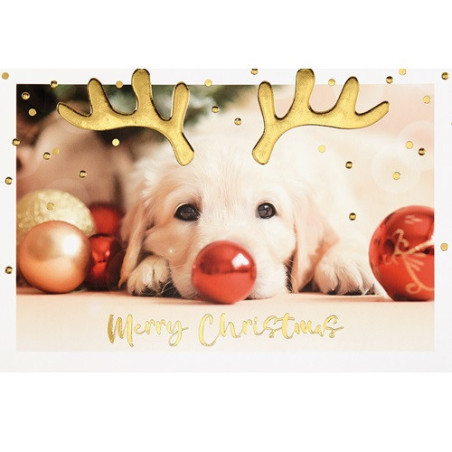 CARTE VOEUX NOEL BSB NATURE CARD
