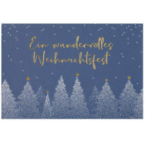 CARTE VOEUX NOEL BSB NATURE CARD