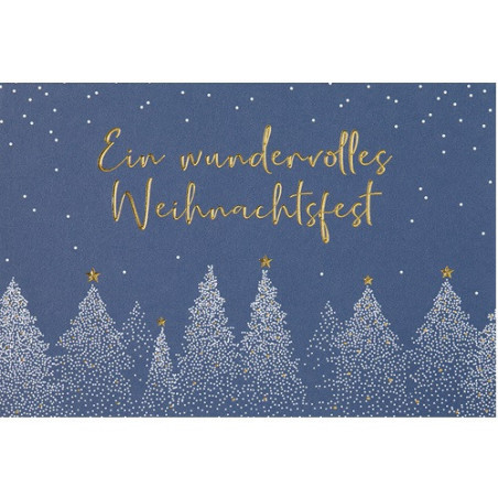 CARTE VOEUX NOEL BSB NATURE CARD