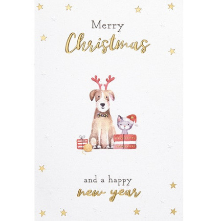 CARTE VOEUX NOEL BSB NATURE CARD