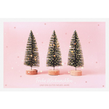 CARTE VOEUX NOEL BSB NATURE CARD