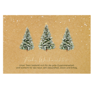 CARTE VOEUX NOEL BSB