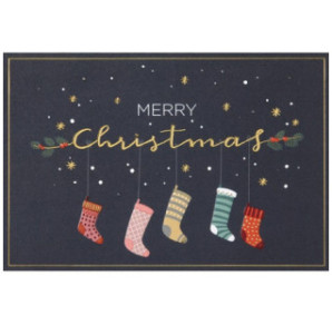 CARTE VOEUX NOEL BSB NATURE CARD