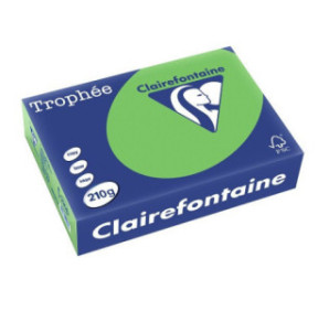 PAPIER REPRO CLAIREF. TROPHEE A4 210G VERT MENTHE 250FLS