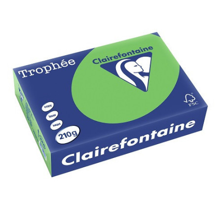 PAPIER REPRO CLAIREF. TROPHEE A4 210G VERT MENTHE 250FLS