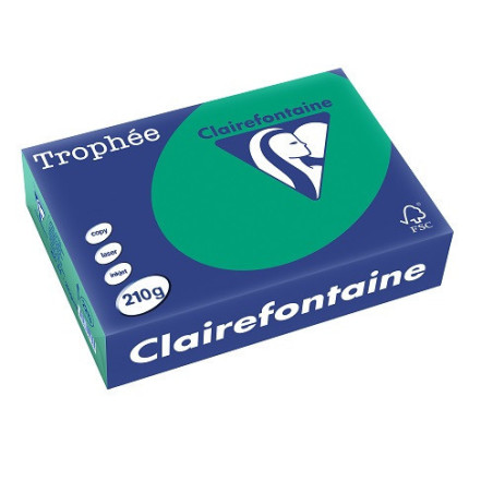 PAPIER REPRO CLAIREF. TROPHEE A4 210G VERT SAPIN 250FLS