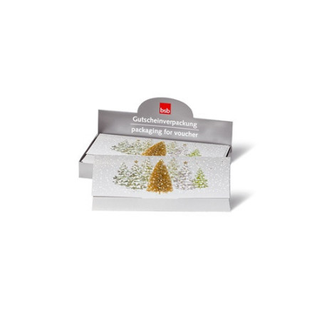 ENVELOPPE CADEAU NOEL BSB