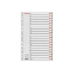 INTERCAL. A4 ALPHA. PLAST. GRIS ESSELTE