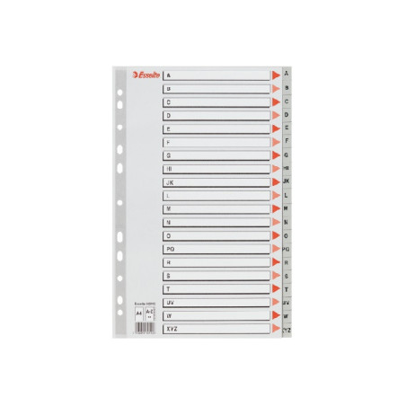 INTERCAL. A4 ALPHA. PLAST. GRIS ESSELTE