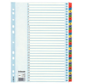 INTERCAL. A4 NUMER. CART. 1-31 ESSELTE