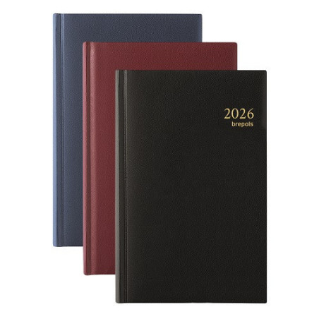 AGENDA BREPOLS 13,3X20,8CM 1J./P. SATURNUS LUXE ASS.