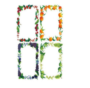 AUTOCOLLANT BSB HOME-STICKER BOCAL A CONSERVER FRUITS