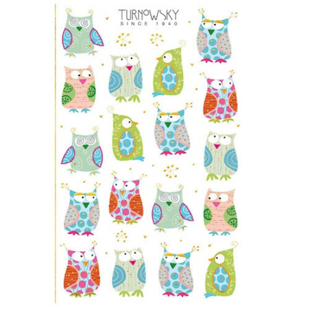 AUTOCOLLANT BSB DECO-STICKER TURNOWSKY HIBOUX