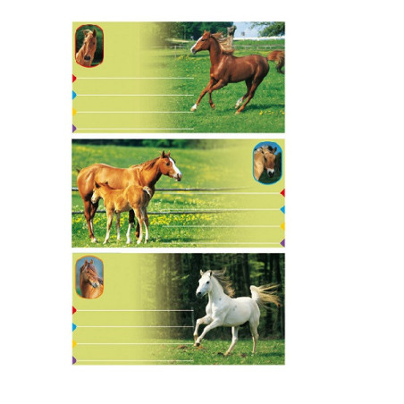 AUTOCOLLANT BSB SCHOOL-STICKER CHEVAUX