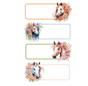 AUTOCOLLANT BSB SCHOOL-STICKER