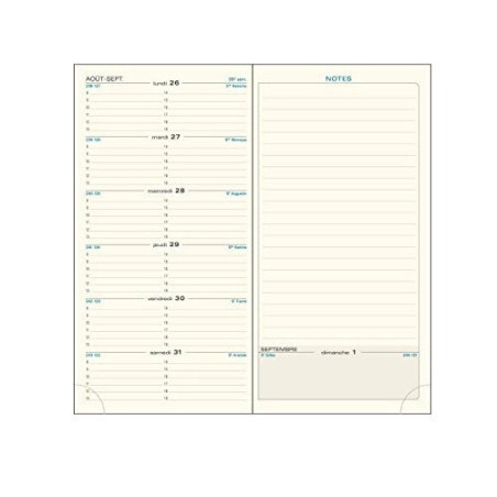RECHARGE AGENDA EXACOMPTA ESPACE 17 REPERT./ATLAS