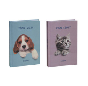 AGENDA SCOLAIRE BREPOLS 11,5X16,9CM 1J./P. AMICI