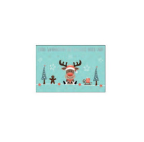 CARTE VOEUX NOEL BSB