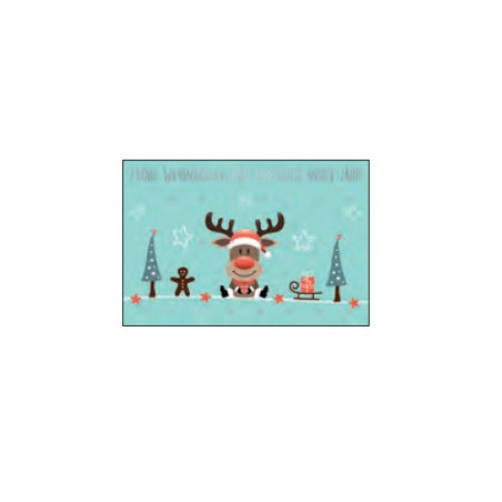 CARTE VOEUX NOEL BSB