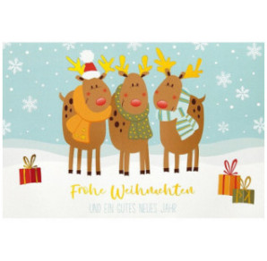 CARTE VOEUX NOEL BSB