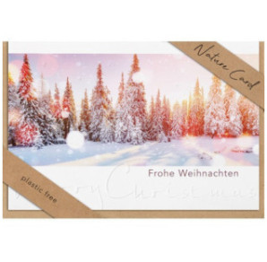 CARTE VOEUX NOEL BSB NATURE CARD