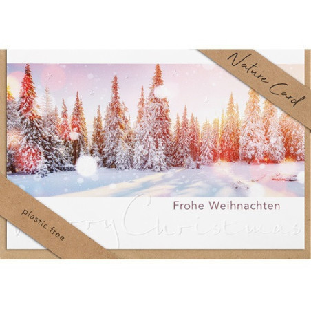 CARTE VOEUX NOEL BSB NATURE CARD