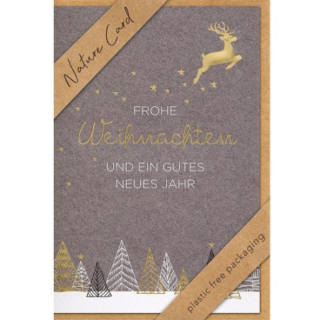 CARTE VOEUX NOEL BSB NATURE CARD