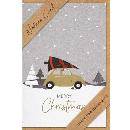 CARTE VOEUX NOEL BSB NATURE CARD